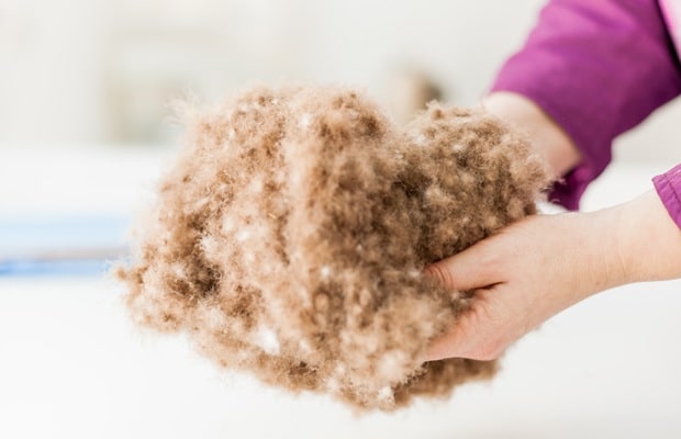 ecologische isolatie